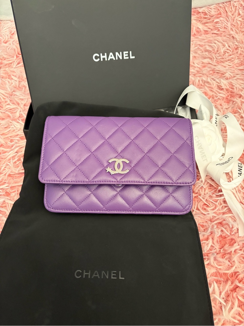 CHANEL Quilted Lambskin Crystal Star Collection Wallet on Chain